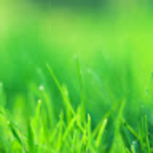 Meet your Posher, Garrit